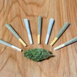 How-to-roll-the-perfect-pre-roll